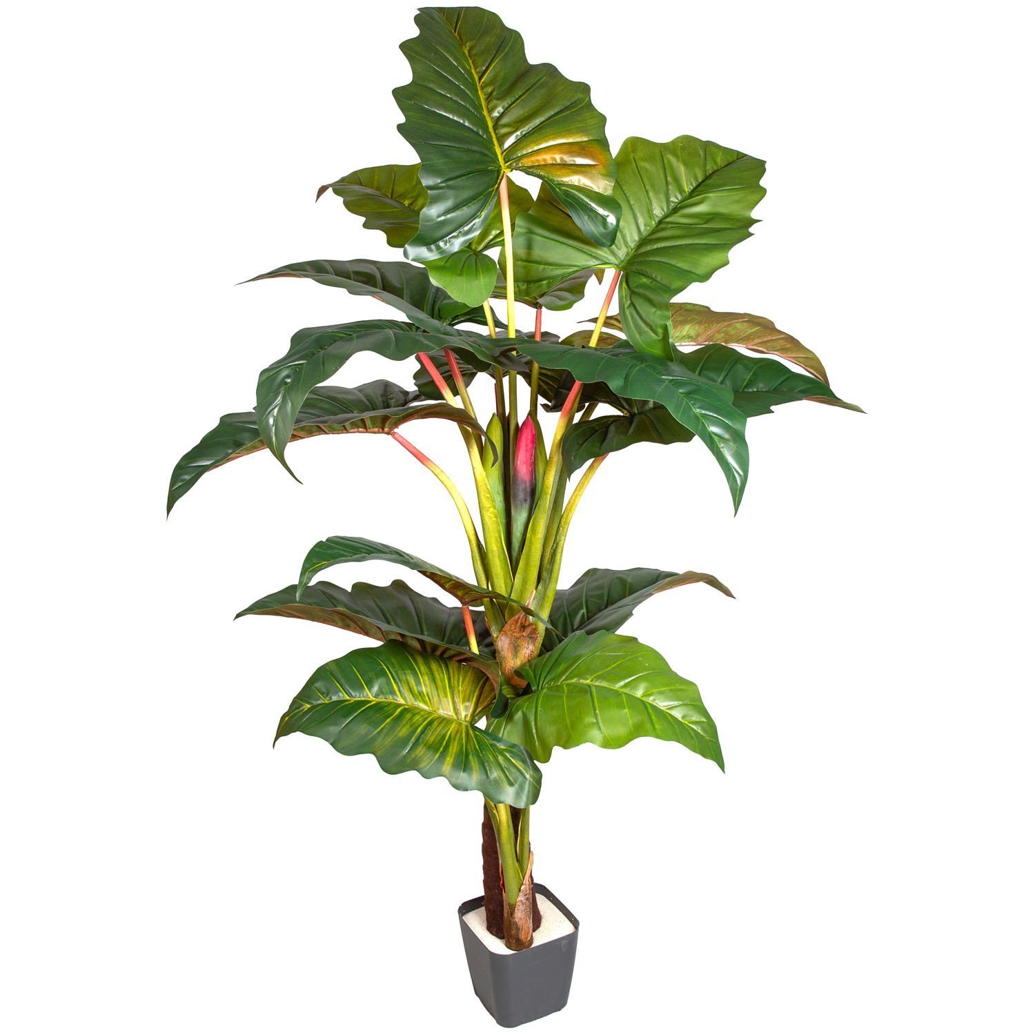 Yapay Alocasia - Fil Kulağı Rainbow(Gökkuşağı) 16 Yaprak 230 Cm.