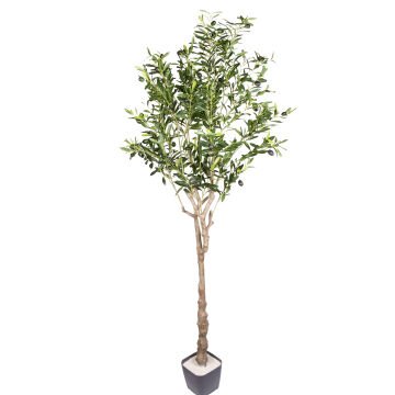 Yapay Zeytin Ağacı 1122 Yaprak Yeşil 160 Cm.