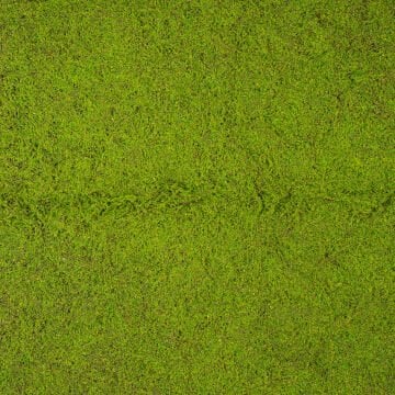 Yapay Yosun Duvar Dekoru Tabaka Açık Yeşil 100X100 Cm.
