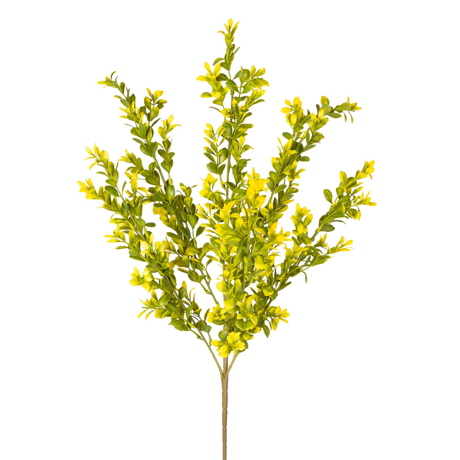 Yapay Bitki Şimşir Sarı/Yeşil 55 Cm.