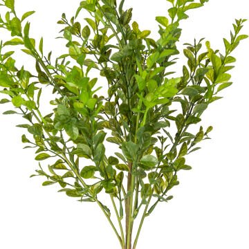 Yapay Bitki Şimşir Demet Koyu Yeşil 55 Cm.
