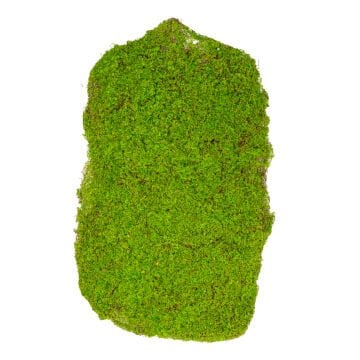 Yapay Yosun Tabaka 35x56 Cm.