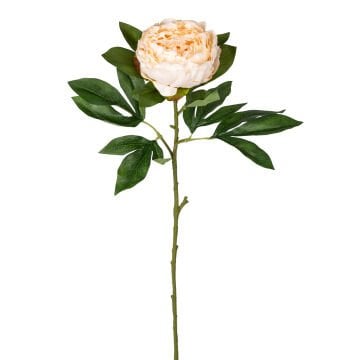 Yapay Şakayık Krem 77 Cm.