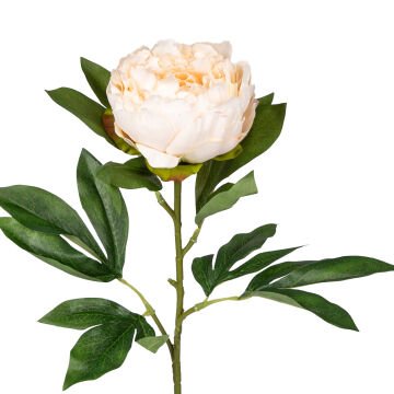 Yapay Şakayık Krem 77 Cm.