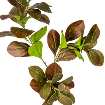 Yapay Manolya Dalı Kahverengi 70 Cm.