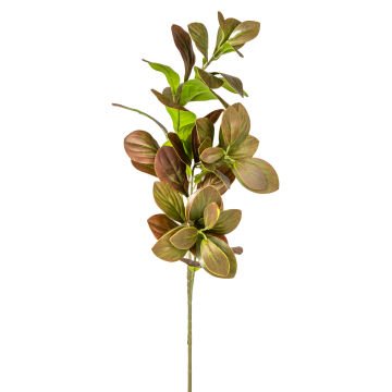 Yapay Manolya Dalı Kahverengi 70 Cm.