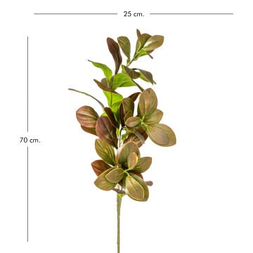 Yapay Manolya Dalı Kahverengi 70 Cm.