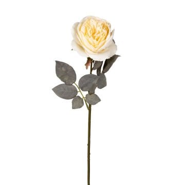 Yapay Şakayık Krem 66 Cm.