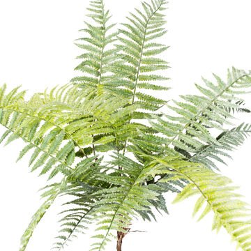 Yapay Bitki Fujer/Eğrelti Otu Yeşil 75 Cm.