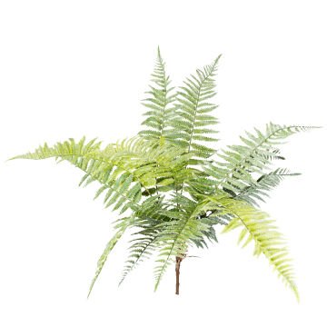 Yapay Bitki Fujer/Eğrelti Otu Yeşil 75 Cm.