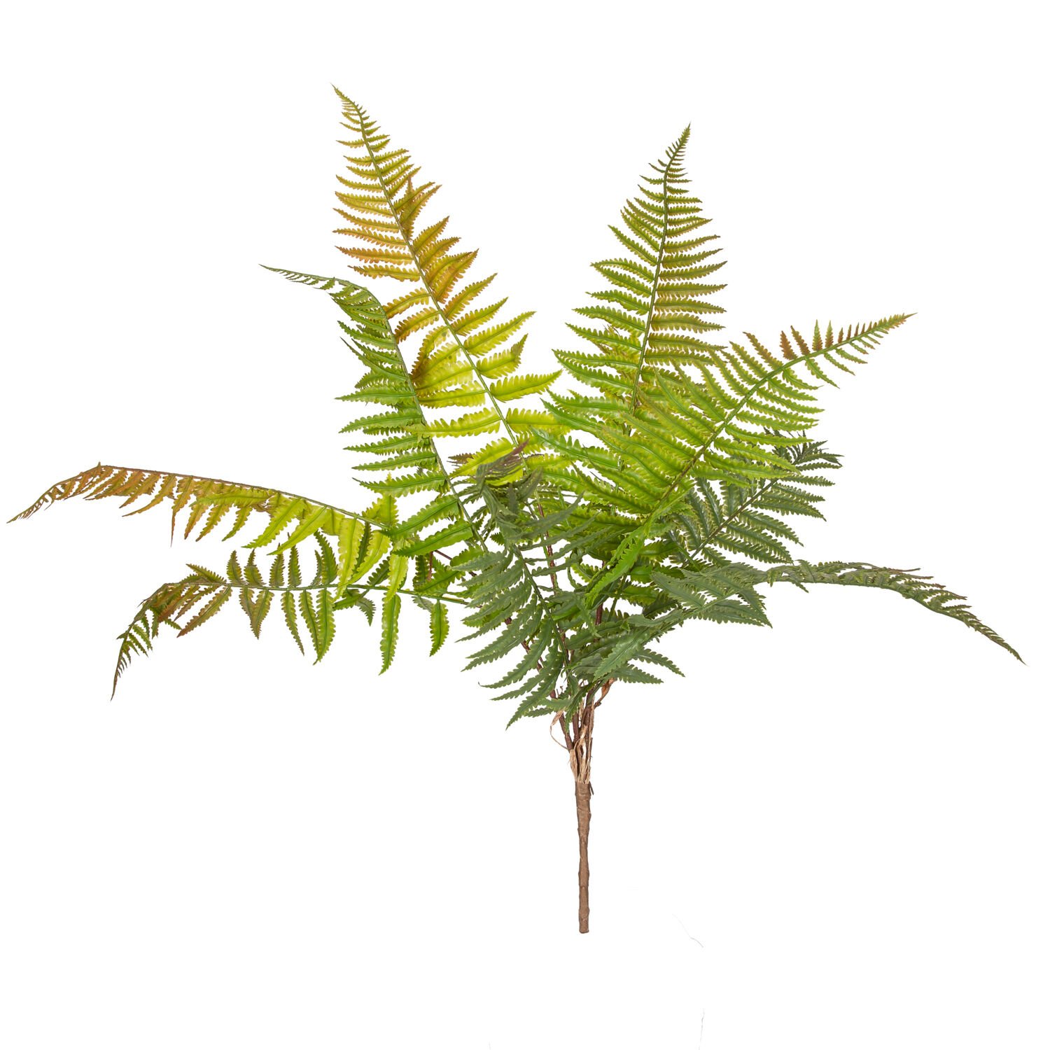 Yapay Bitki Fujer/Eğrelti Otu Kızıl/Yeşil 75 Cm.