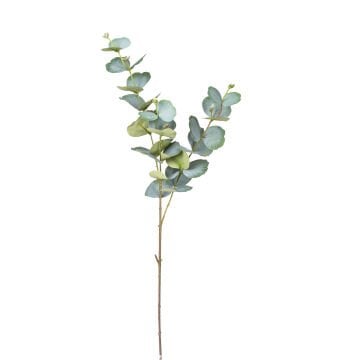 Yapay Okaliptus Dalı Yeşil 75 Cm.