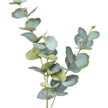 Yapay Okaliptus Dalı Yeşil 75 Cm.
