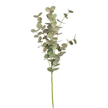 Yapay Okaliptus Dalı Gerçek Dokulu Yeşil 87 cm.