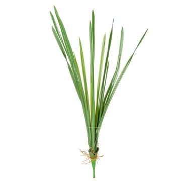 Yapay Saz Köklü Yeşil 55 Cm.