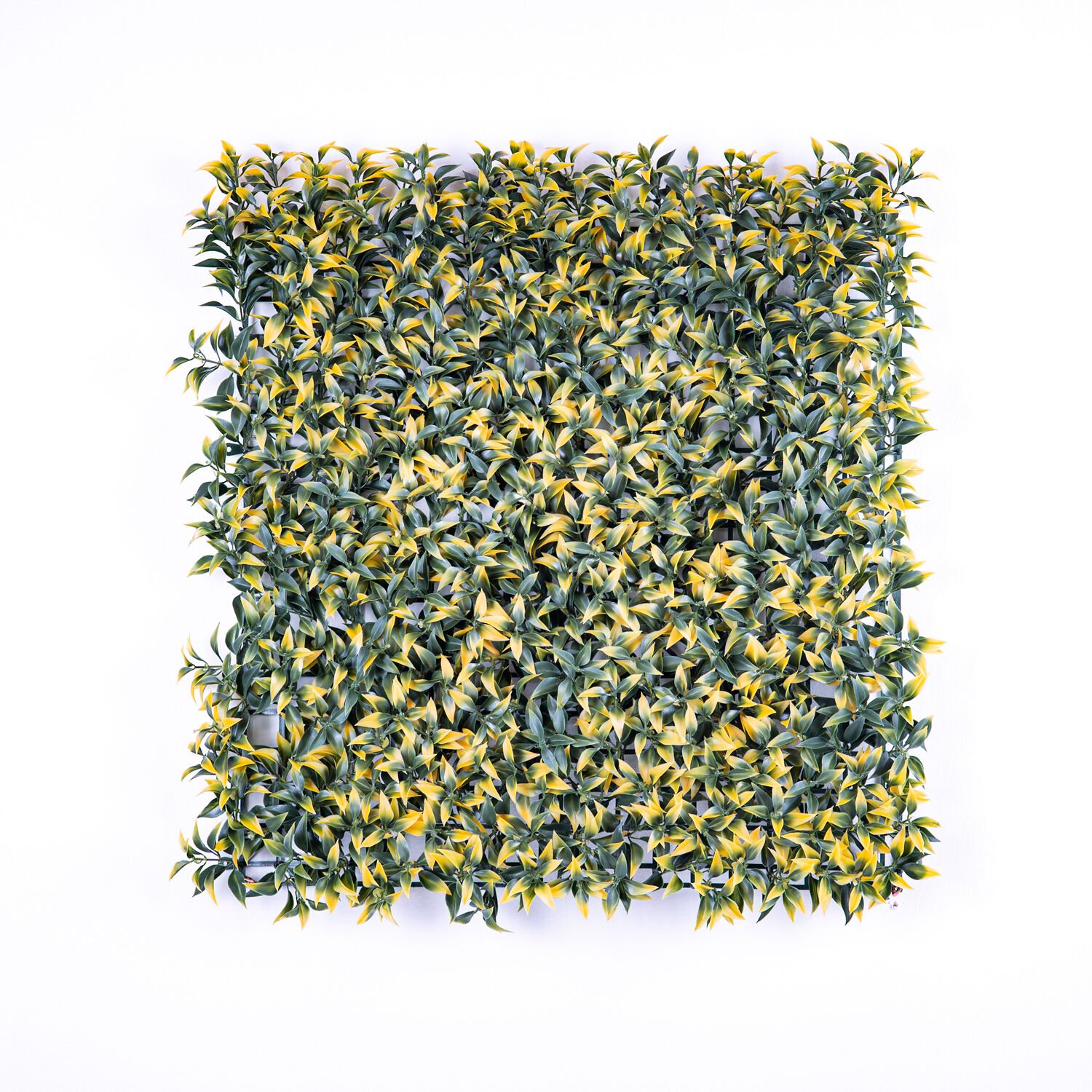 Yapay Çay Bitkisi Tabaka Sarı 50X50 Cm. UV KORUMALI - Dış Mekan Uyumlu