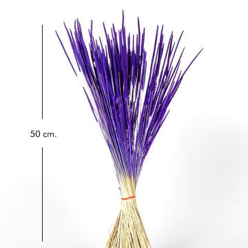 Kuru Bitki Solucan Otu Mor 50 Cm.