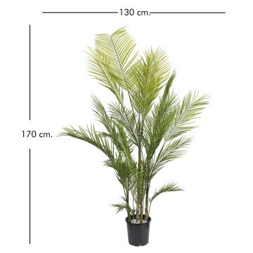 Yapay Kentia Palmiye 175 cm.