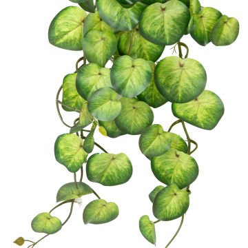 Yapay Bitki Salon Sarmaşığı Peperomia Yeşil 65 Cm.